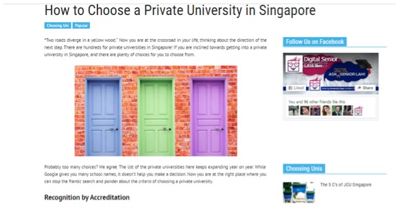 digitalsenior.sg article example