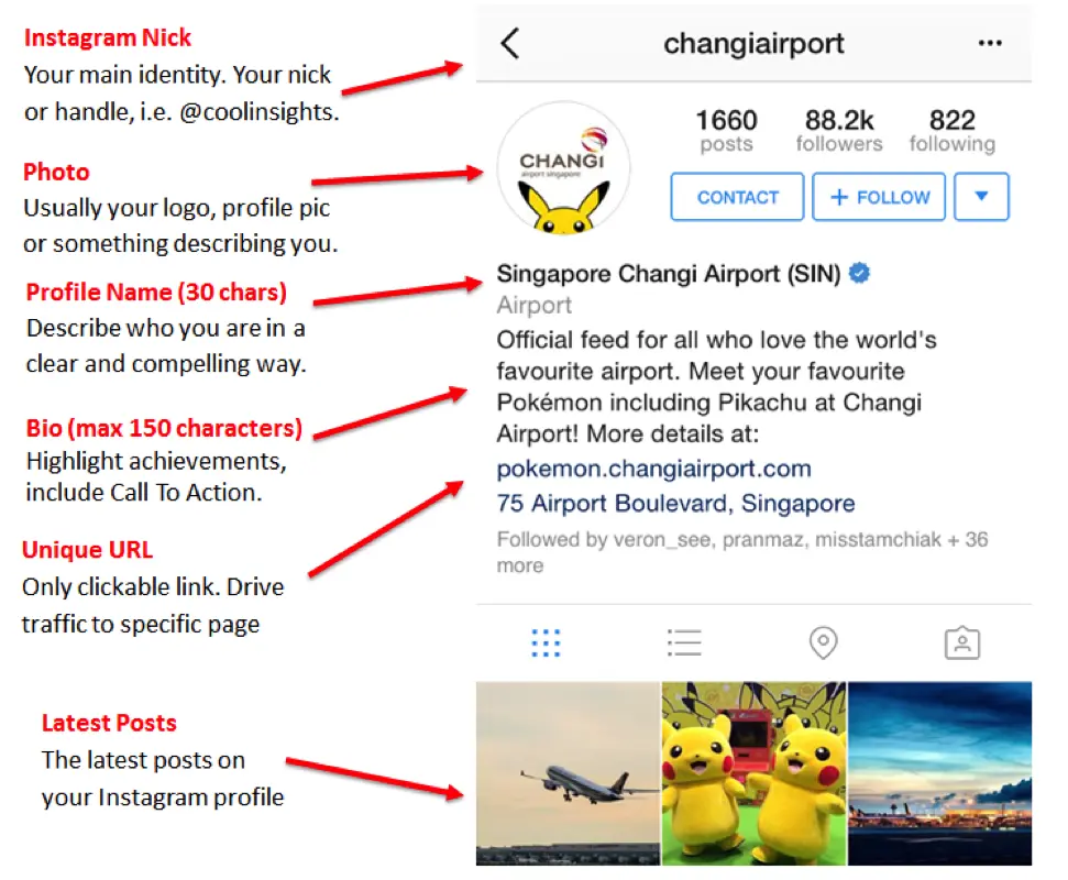 Changi Airport Instagram Business Profile Example