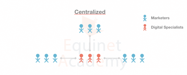 A Centralized Digital Marketing Team Structure