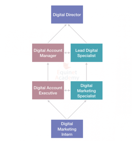 Digital Marketing Career Progress in Digital Agency