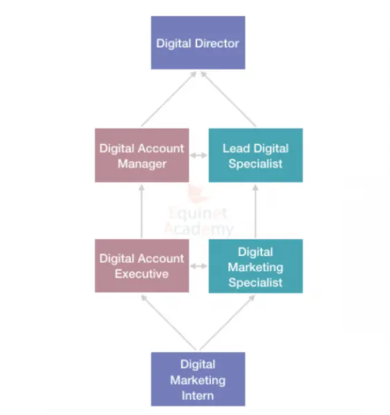 Digital Marketing Career Progress in Digital Agency