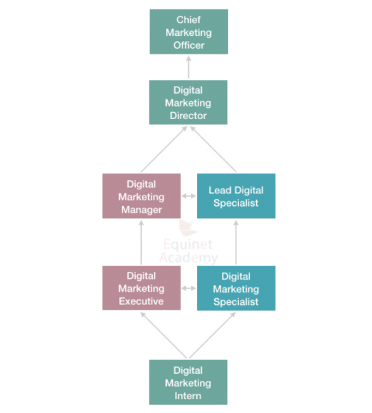 Digital Marketing Career Progression in Client Side