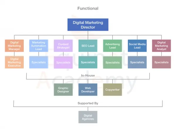 A Functional Digital Marketing Team Structure