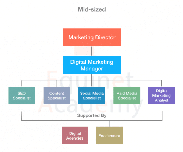 A Mid-Sized Digital Marketing Team Structure