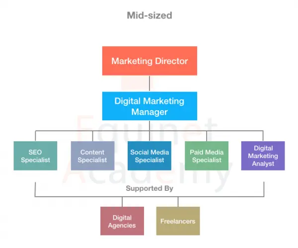 A Mid-Sized Digital Marketing Team Structure