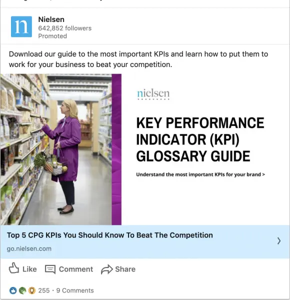 Nielsen ads on KPI Glossary Guide