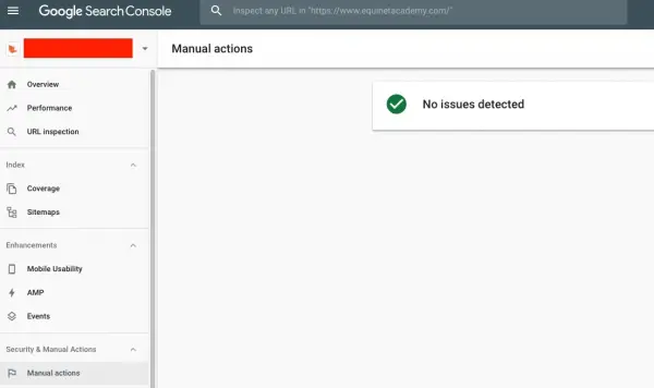 Search Console Manual Action Report