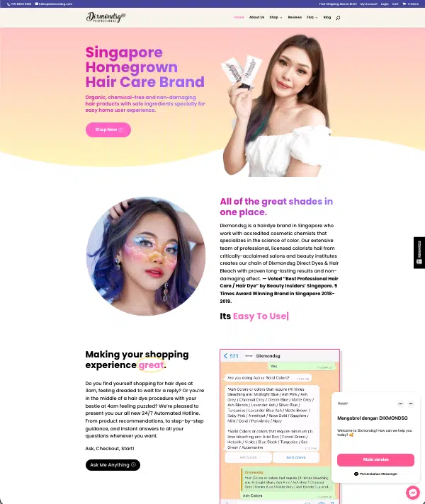 dixmondsg wordpress website trainee portfolio