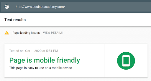 page-speed-insight-showing-mobile-friendly-for-website