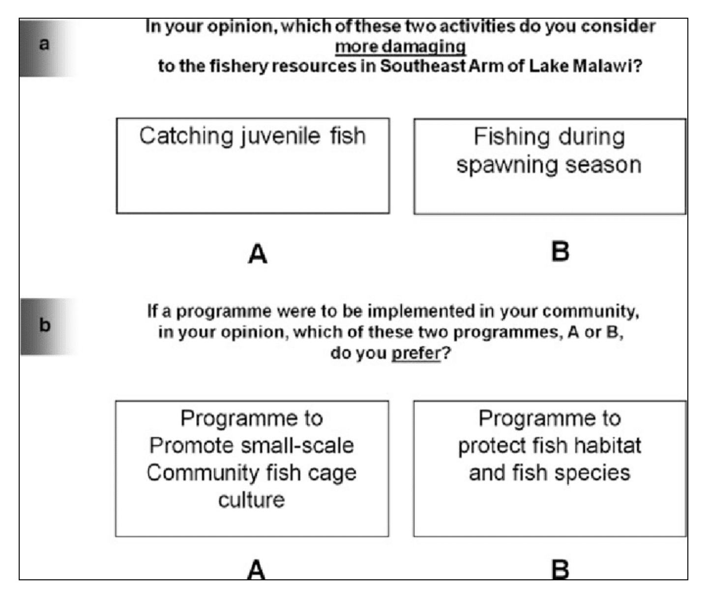 paired-comparison-question-example